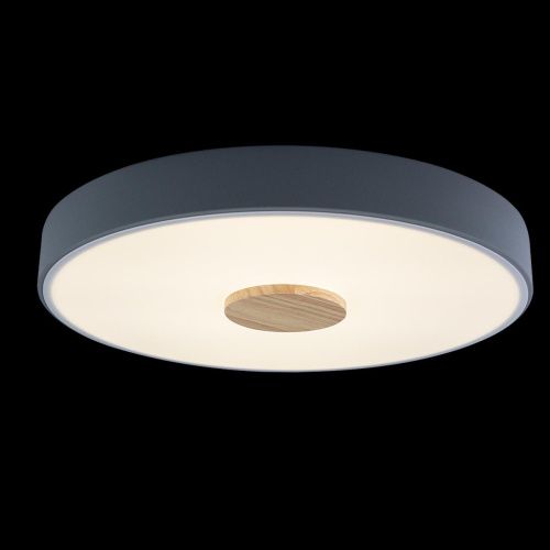 Светильник потолочный Loft It Axel 10003/24 Grey - фото 2