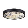 Настенно-потолочный светильник Odeon Light Bergi (Берги) 5064/24L