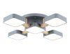 Люстра потолочная Ambrella Light LineTech (ЛинеТецх) FL4882