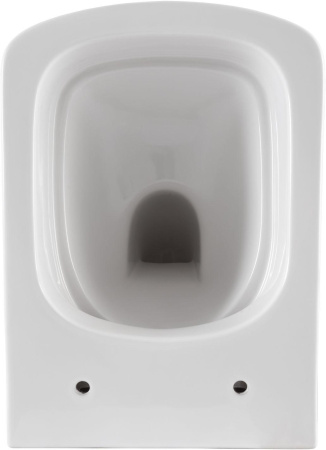 Чаша унитаза подвесная Allen Brau Liberty 4.33004.20 цвет белый без сиденья безободковая каскадный смыв