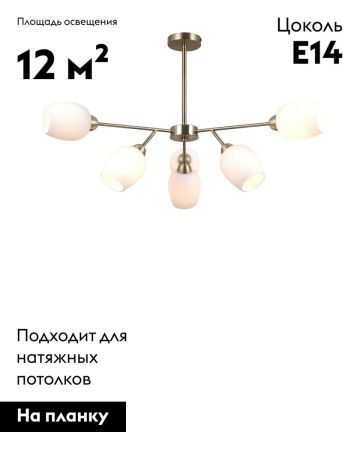 Люстра на штанге Moderli Cassy (Цассы) V10820-6C