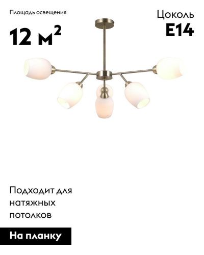 Люстра на штанге Moderli Cassy (Цассы) V10820-6C - фото 2