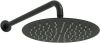 Верхний душ Allen Brau Priority 5.31017-31 25х50 черный