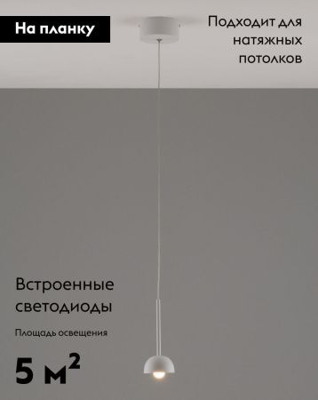 Светильник подвесной Moderli Fiona (Фиона) V10892-PL