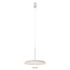 Светильник подвесной Lightera Virtus (Виртус) LE420L-1W