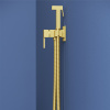 Гигиенический душ со смесителем RGW Shower Panels (Шоувер панелс) 581408212-06 золото