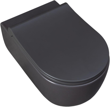 Чаша унитаза подвесная Allen Brau Priority 4.31001.AN цвет черный без сиденья безободковая каскадный смыв