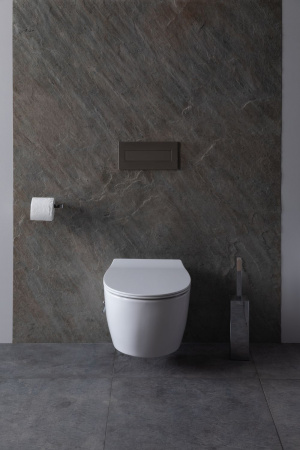 Чаша унитаза подвесная Allen Brau Fantasy 4.11HC1.20 цвет белый без сиденья безободковая каскадный смыв