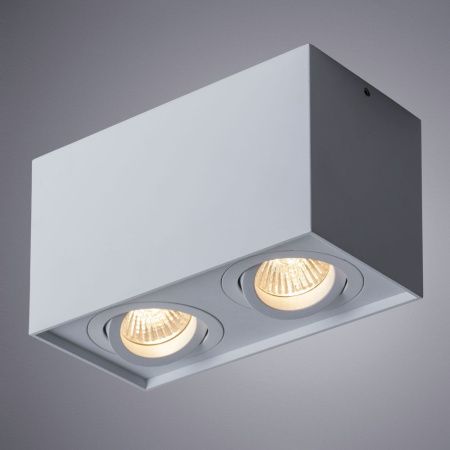 Светильник потолочный Arte Lamp Factor (Фацтор) A5544PL-2WH
