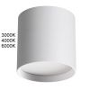 Уличный потолочный светильник Odeon Light Oben (Обен) 7130/8CL