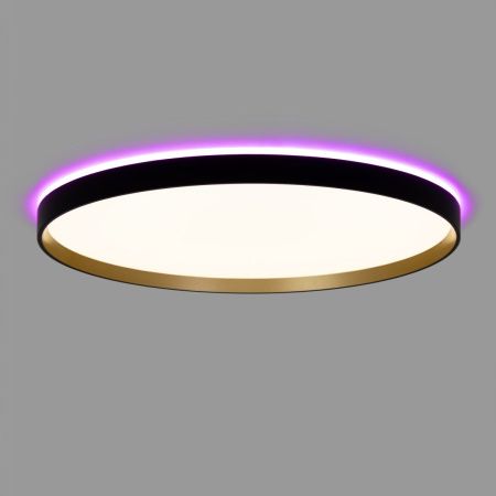 Светильник потолочный музыкальный Citilux Etalon (Еталон) CL750501R