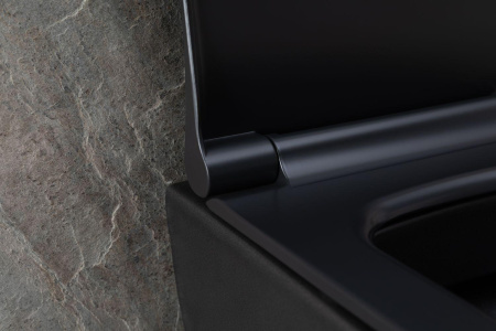 Чаша унитаза подвесная Allen Brau Priority 4.31002.31 цвет черный матовый без сиденья безободковая каскадный смыв