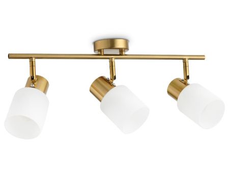 Спот Ambrella Light Traditional (Традитионал) TR3972
