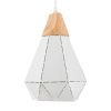 Светильник подвесной Myfar Brigitte (Бригитте) MR1404-1P