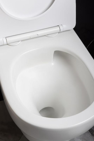 Унитаз подвесной Boheme Fiore 978-SET-MW цвет белый матовый с сиденьем микролифт безободковый смыв торнадо