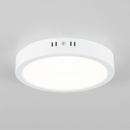 Светильник накладной Citilux Галс CL5522N