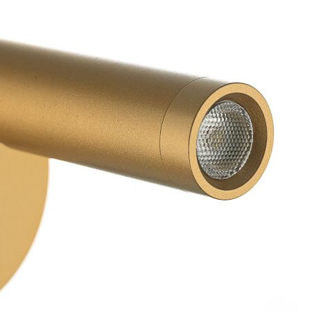 Спот Citilux Декарт CL704102