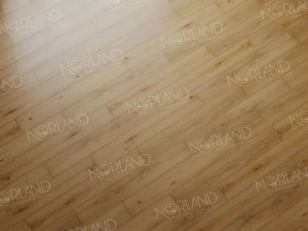 Кварцвиниловая плитка Norland Sigrid LVT 1003-2 Blake толщина 0.2 см 34 класс 1219,2х184,15