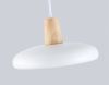 Светильник подвесной Ambrella Light LineTech (ЛинеТецх) FL4838