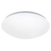 Настенно-потолочный светильник Eglo Giron Pro (Гирон Про) 61505