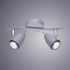Спот Arte Lamp Regista (Региста) A1966AP-2GY