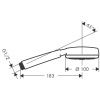 Душевая лейка Hansgrohe Crometta 26825400 цвет хром
