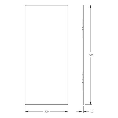 Зеркало Evoform Standard BY 0211 30х70 подвесное
