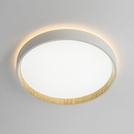 Светильник потолочный музыкальный Citilux Etalon (Еталон) CL750240