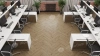 Ламинат Alpine Floor Herringbone 12 Pro New LF106-07 Дуб Прованс толщина 1.2 см 34 класс 606х101