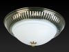 Светильник накладной Toplight Dora (Дора) TL5040Y-02AB