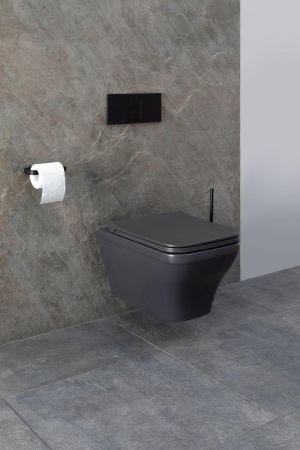 Чаша унитаза подвесная Allen Brau Infinity 4.21011.AN цвет черный без сиденья безободковая каскадный смыв