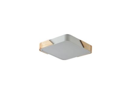 Светильник потолочный Zortes Alberro (Алберро) ZRS.01285.24