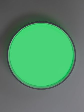 Светильник потолочный музыкальный Citilux Enzo (Ензо) CL753453G