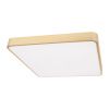 Светильник потолочный Loft It Flims 10228/D