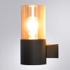 Уличный настенный светильник Arte Lamp Seginus (Сегинус) A6515AL-1BK