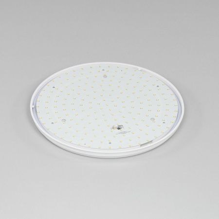 Светильник накладной Citilux Луна CL702301W