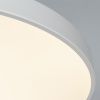 Светильник накладной Arte Lamp Arena (Арена) A2671PL-1WH