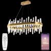 Люстра подвесная Natali Kovaltseva LED Нимбы LED LAMPS 81258