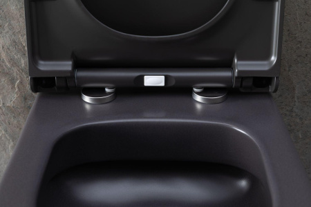 Чаша унитаза подвесная Allen Brau Priority 4.31002.AN цвет черный без сиденья безободковая каскадный смыв