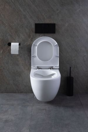 Комплект унитаз с инсталляцией и клавишей смыва Allen Brau Reality 00316510