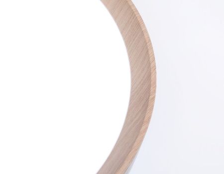 Светильник потолочный Ambrella Light Design (Десигн) FZ1320