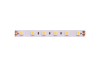 Светодиодная лента Designled DSG560 00-00002118