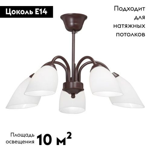 Люстра потолочная Vitaluce V3335-7 V3335-7/5PL - фото 2