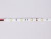 Светодиодная лента Ambrella Light LED Strip 12V (ЛЕД Стрип 12В) GS1802