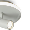 Светильник потолочный Freya Neo (Нео) FR6040CL-L14W