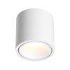 Светильник накладной Odeon Light Redo (Редо) 6620/10CL