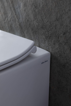 Унитаз приставной Allen Brau Fantasy 4.11007.20 белый с сиденьем микролифт безободковый каскадный смыв