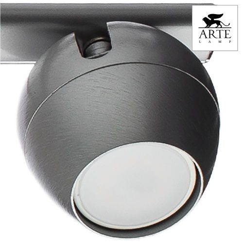 Спот Arte Lamp Sfera (Сфера) A5781PL-4SS - фото 2