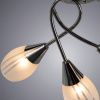 Люстра потолочная Arte Lamp PENNY (ПЕННЫ) A2701PL-9CC