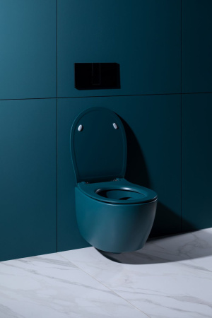 Чаша унитаза подвесная Allen Brau Fantasy 4.11004.PT цвет зеленый без сиденья безободковая каскадный смыв